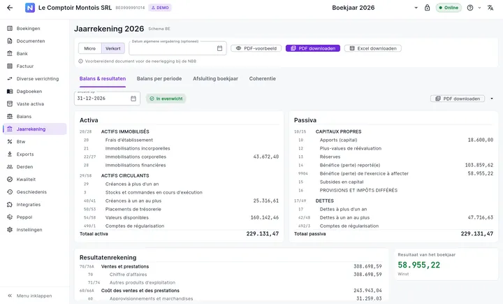 Jaarrekening in NovaFisko: balans activa en passiva, resultatenrekening, verkort model
